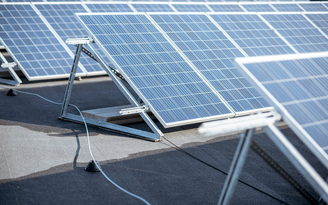 ¿Son las placas solares sin instalación una buena inversión? Todo lo que debes saber